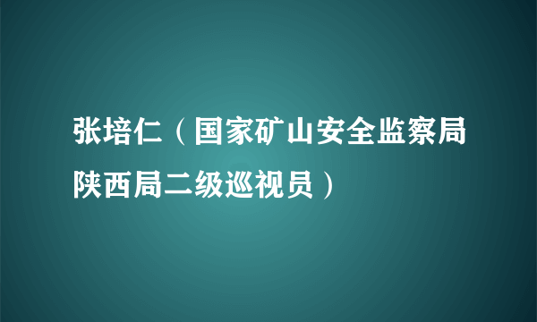 张培仁（国家矿山安全监察局陕西局二级巡视员）