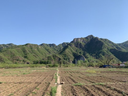 花木村（北京市怀柔区九渡河镇花木村）