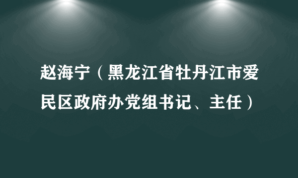 赵海宁（黑龙江省牡丹江市爱民区政府办党组书记、主任）