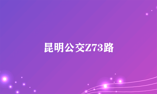 昆明公交Z73路