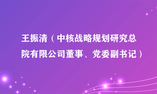 王振清（中核战略规划研究总院有限公司董事、党委副书记）