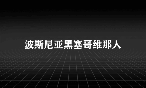 波斯尼亚黑塞哥维那人