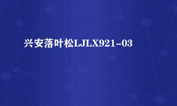 兴安落叶松LJLX921-03