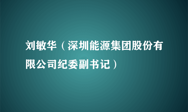 刘敏华（深圳能源集团股份有限公司纪委副书记）