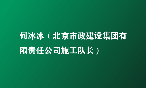 何冰冰（北京市政建设集团有限责任公司施工队长）