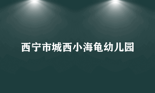 西宁市城西小海龟幼儿园