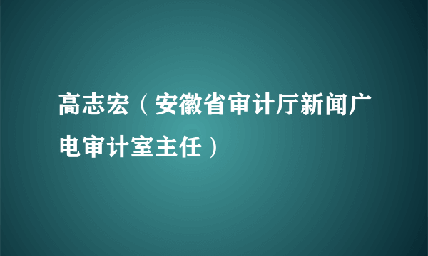 高志宏（安徽省审计厅新闻广电审计室主任）