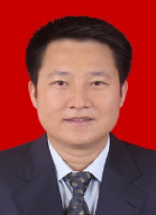 贾贵斌（东莞市沙田镇党委书记）