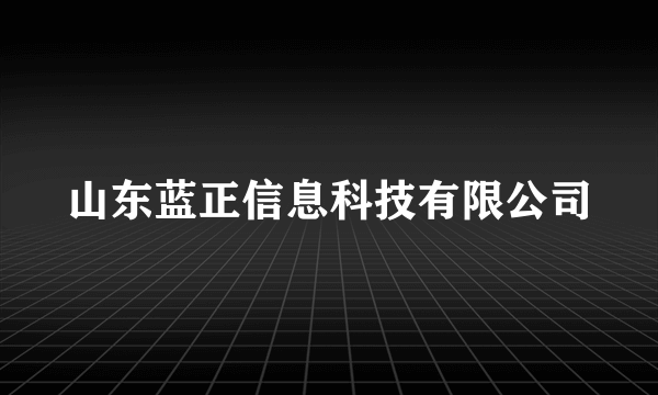 山东蓝正信息科技有限公司