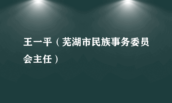 王一平（芜湖市民族事务委员会主任）