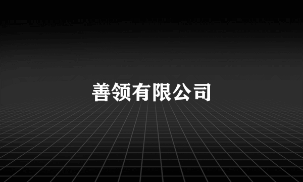 善领有限公司