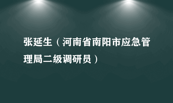 张延生（河南省南阳市应急管理局二级调研员）