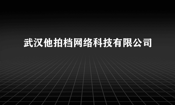 武汉他拍档网络科技有限公司