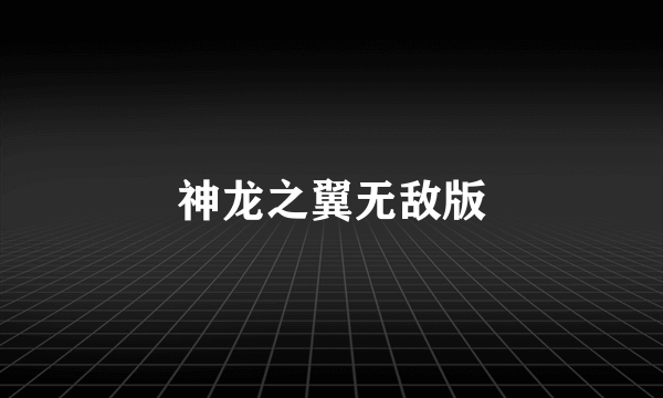 神龙之翼无敌版