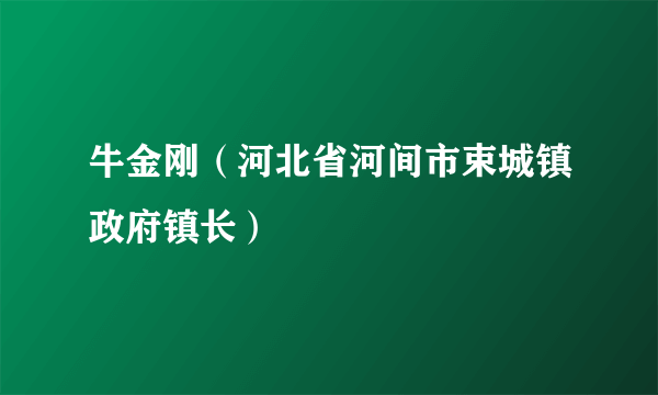 牛金刚（河北省河间市束城镇政府镇长）