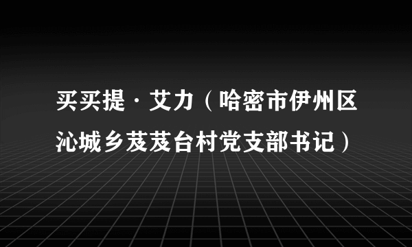 买买提·艾力（哈密市伊州区沁城乡芨芨台村党支部书记）