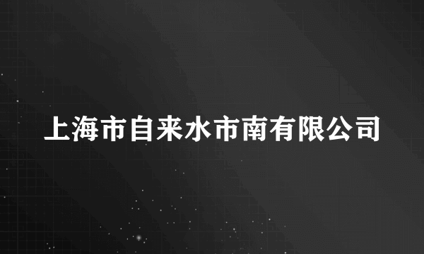 上海市自来水市南有限公司