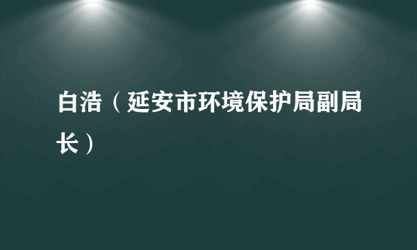 白浩（延安市环境保护局副局长）