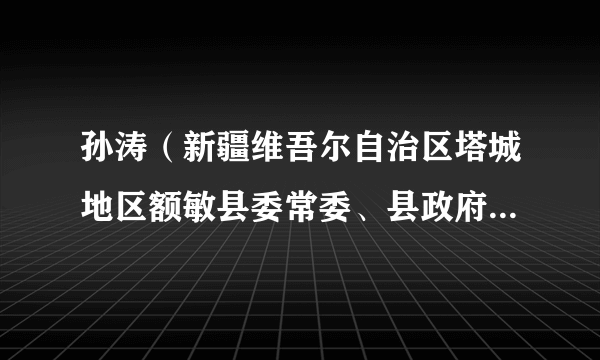 孙涛（新疆维吾尔自治区塔城地区额敏县委常委、县政府副县长）