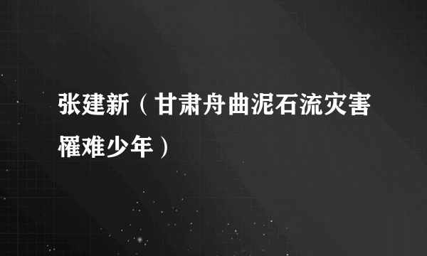 张建新（甘肃舟曲泥石流灾害罹难少年）