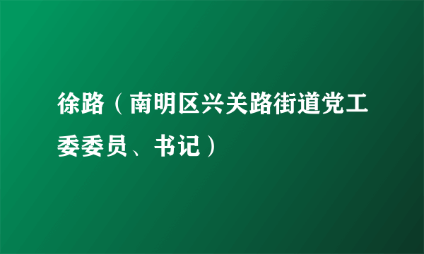 徐路（南明区兴关路街道党工委委员、书记）