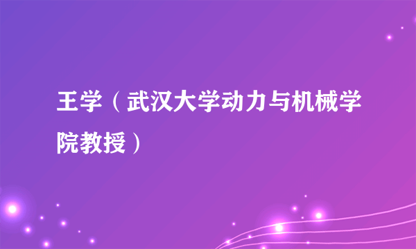 王学（武汉大学动力与机械学院教授）