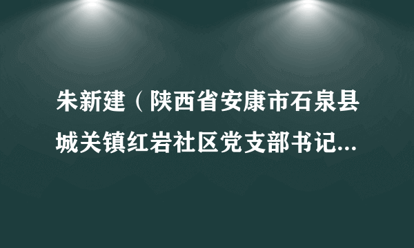 朱新建（陕西省安康市石泉县城关镇红岩社区党支部书记、居委会主任）