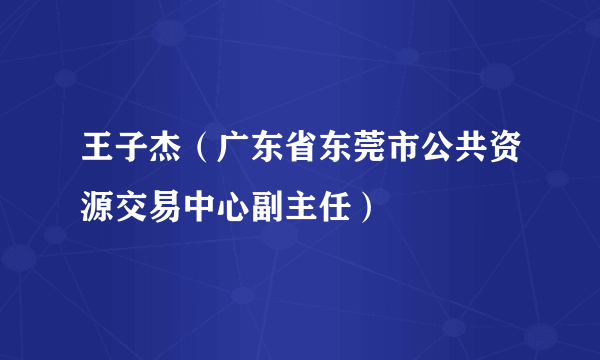 王子杰（广东省东莞市公共资源交易中心副主任）