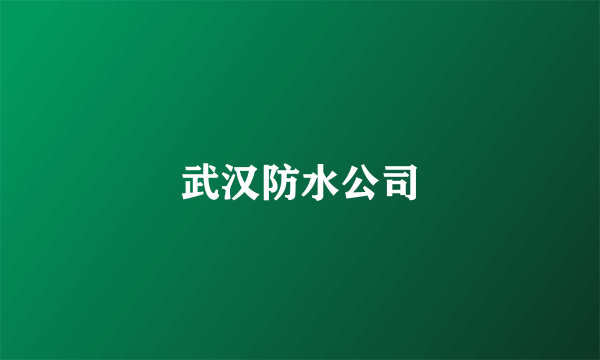 武汉防水公司