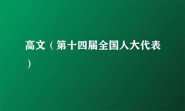 高文（第十四届全国人大代表）