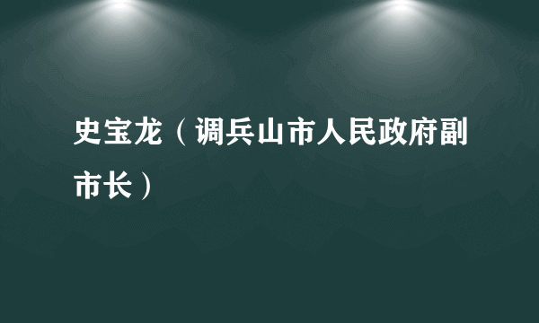 史宝龙（调兵山市人民政府副市长）