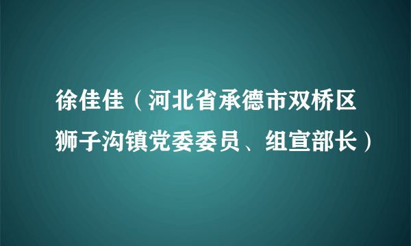 徐佳佳（河北省承德市双桥区狮子沟镇党委委员、组宣部长）