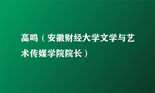 高鸣（安徽财经大学文学与艺术传媒学院院长）