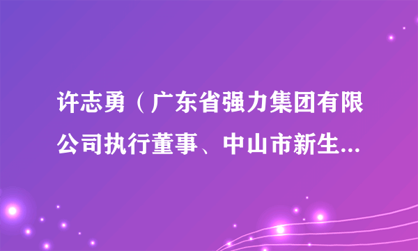 许志勇（广东省强力集团有限公司执行董事、中山市新生代企业家联谊会会长）