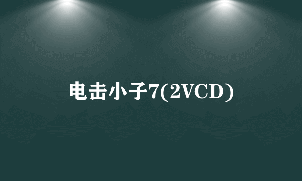 电击小子7(2VCD)