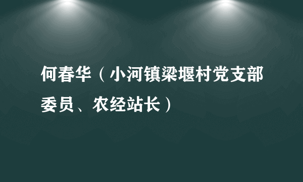 何春华（小河镇梁堰村党支部委员、农经站长）