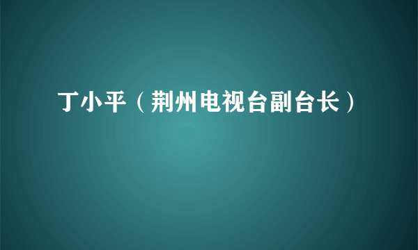 丁小平（荆州电视台副台长）