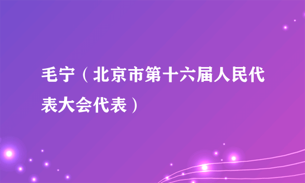 毛宁（北京市第十六届人民代表大会代表）