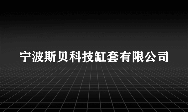 宁波斯贝科技缸套有限公司