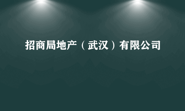 招商局地产（武汉）有限公司