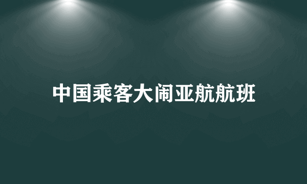 中国乘客大闹亚航航班