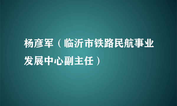 杨彦军（临沂市铁路民航事业发展中心副主任）