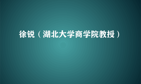 徐锐（湖北大学商学院教授）