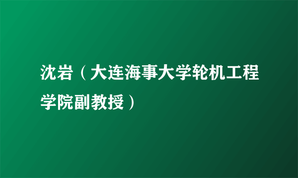 沈岩（大连海事大学轮机工程学院副教授）