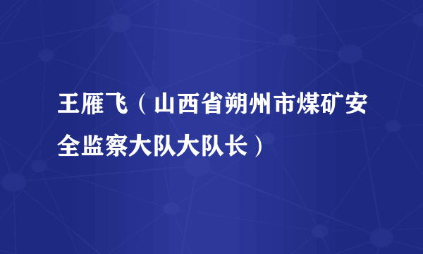 王雁飞（山西省朔州市煤矿安全监察大队大队长）