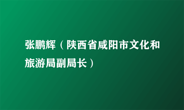 张鹏辉（陕西省咸阳市文化和旅游局副局长）