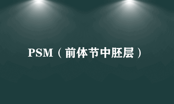 PSM（前体节中胚层）