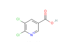 5,6-二氯烟酸