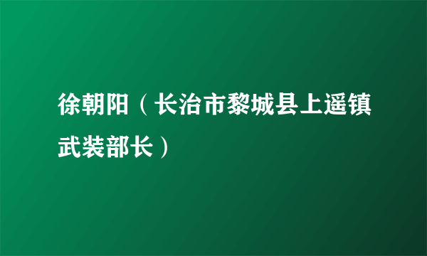 徐朝阳（长治市黎城县上遥镇武装部长）