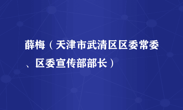 薛梅（天津市武清区区委常委、区委宣传部部长）